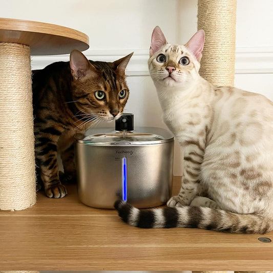 Hydrate & Purr: Premium Wireless Steel Cat Fountain